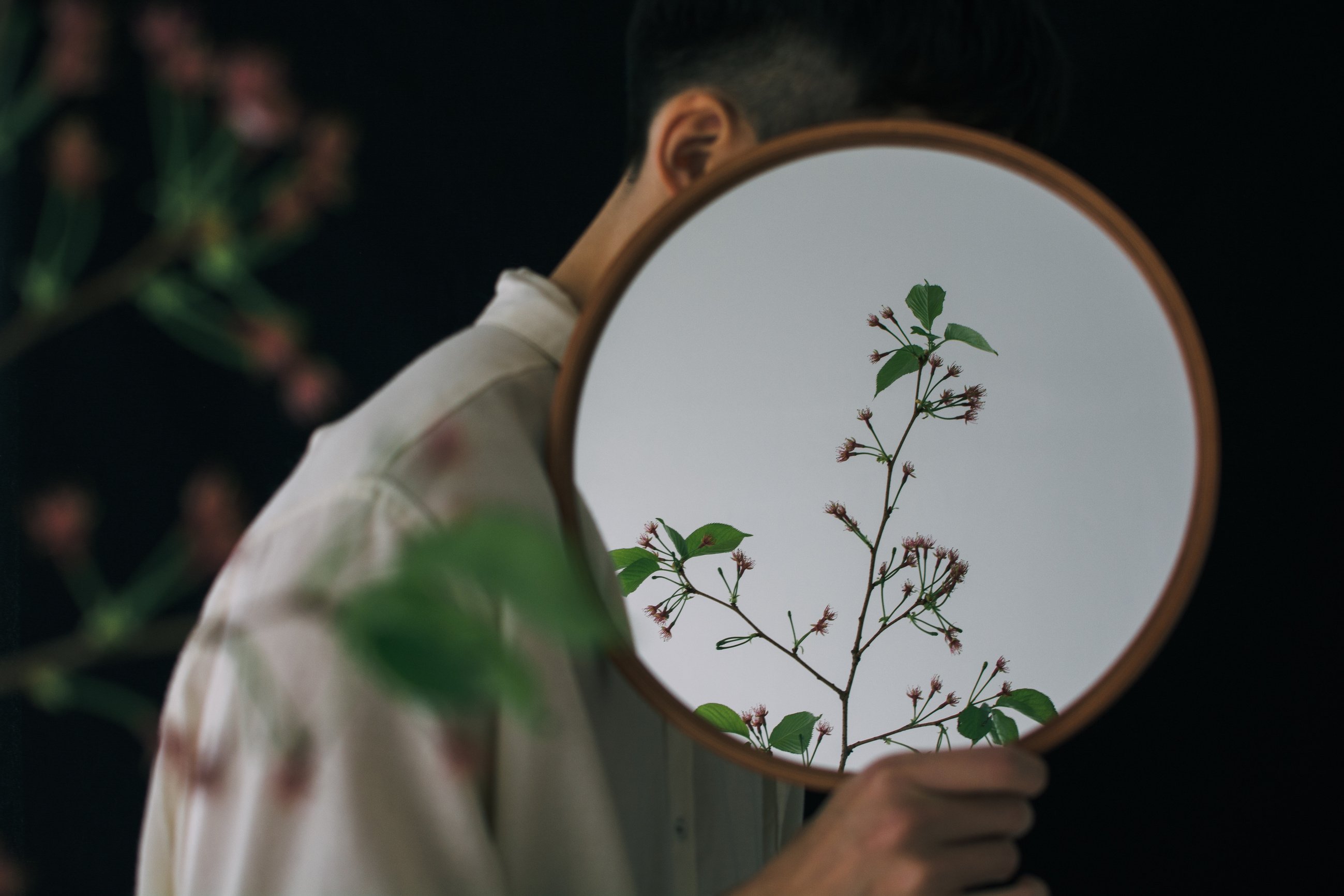 a person holding a mirror with a plant on it